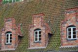1760 DSC_5376